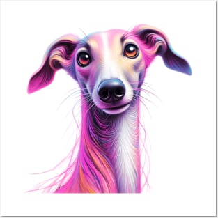 Galgo Greyhound Sighthound Dog Posters and Art